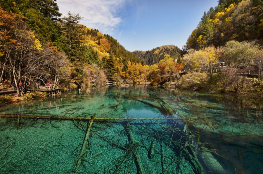 Jiuzhaigou Five Flower Lake, Sichuan